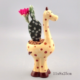 żyrafa zwierząt mini kwiat pole soczyste donica sadzarka