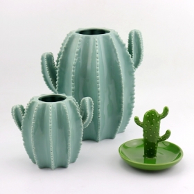 mały wazon ceramiczny z kaktusa