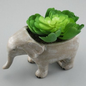 słonia soczyste doniczki ceramiczne zwierząt